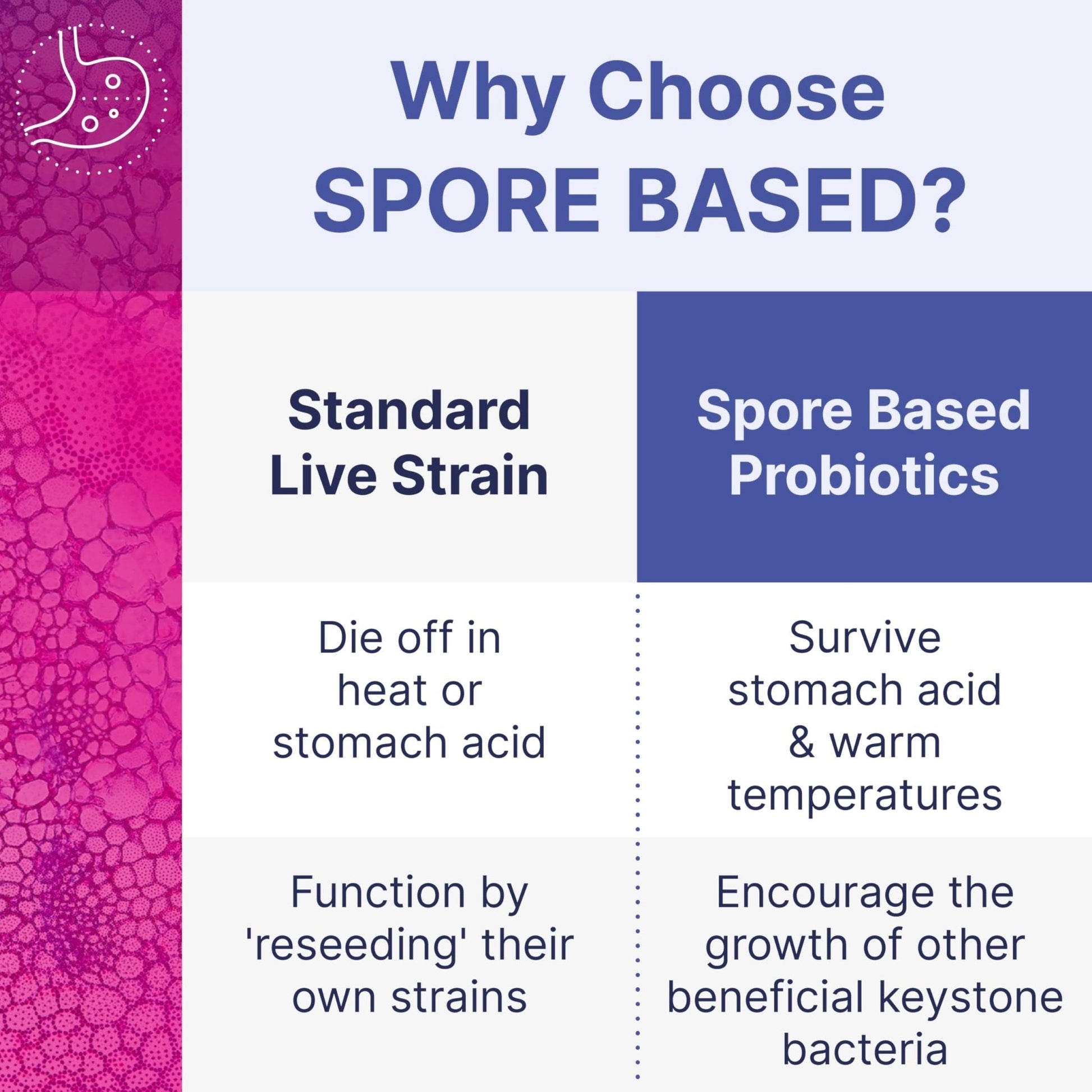 Microbiome Labs MegaSporeBiotic Probiotics for Women & Men - Spore-Based Probiotic for Gut Health & Digestive Support - Shelf-Stable, Travel-Friendly - Maple Wellness Supplements