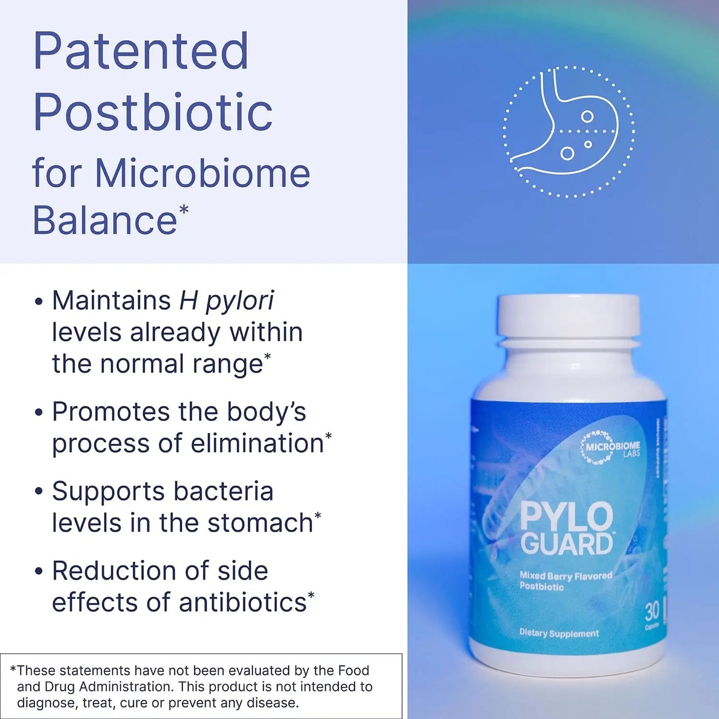 Microbiome Labs PyloGuard - Patented L reuteri DSM17648 to Improve Digestive Comfort - Gut Health & Immune Support Supplement - Postbiotic (30 Capsules) - Maple Wellness Supplements