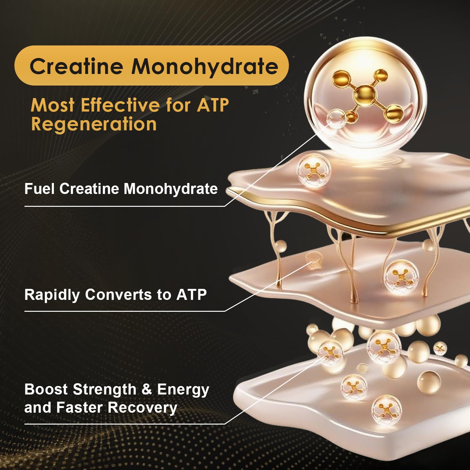 Micronized Creatine Monohydrate for Women and Men, Creatine Powder for Men-Women for Improve Performance and Strength, Support Muscle Growth and Workout Recovery, 6.5g per Servings, 75 Servings - Maple Wellness Supplements