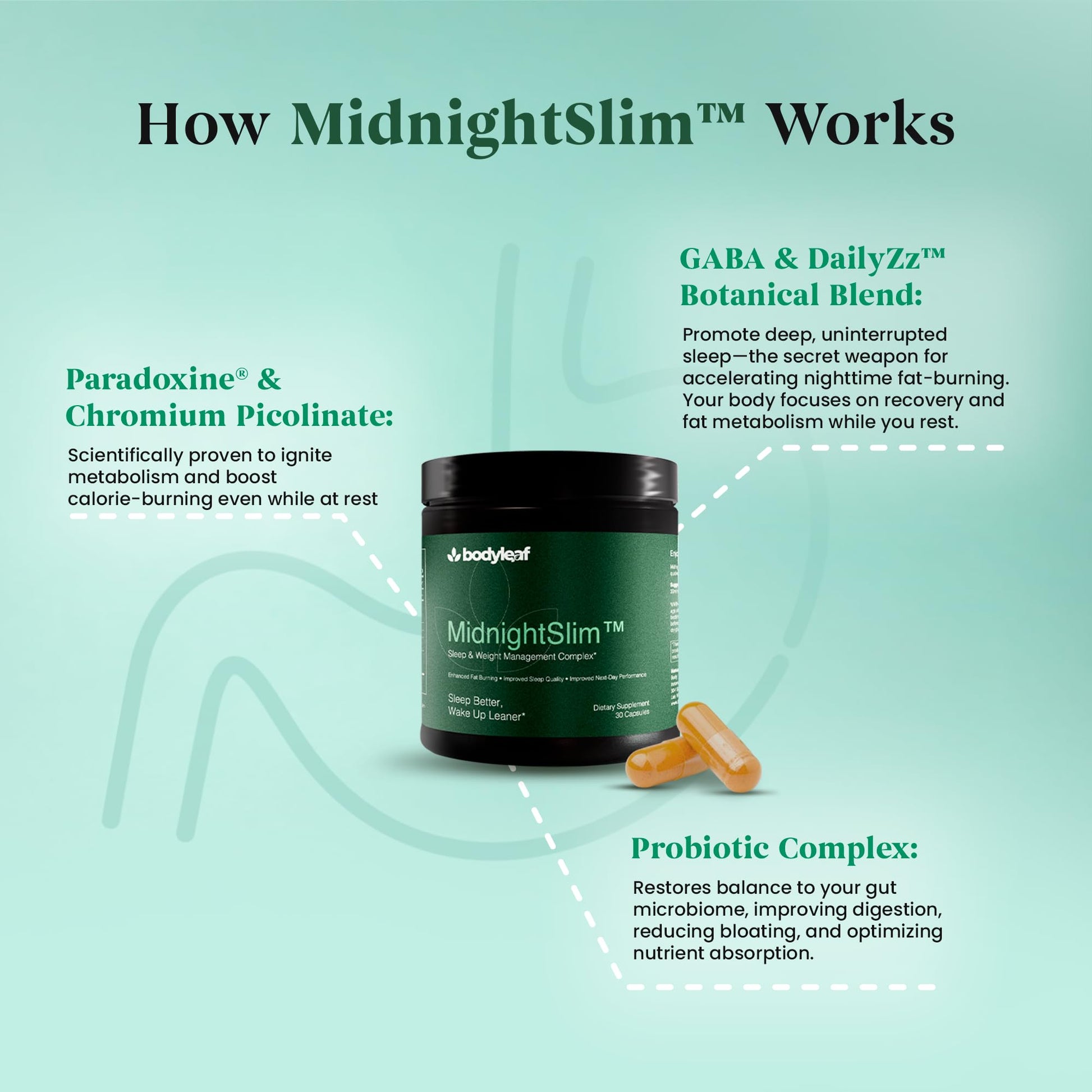 MidnightSlim™ | Advanced Nighttime Weight | Maximum Strength Metabolism Support, Digestive Health, Peaceful Sleep | Premium Probiotic Complex | 30 Capsules - Maple Wellness Supplements