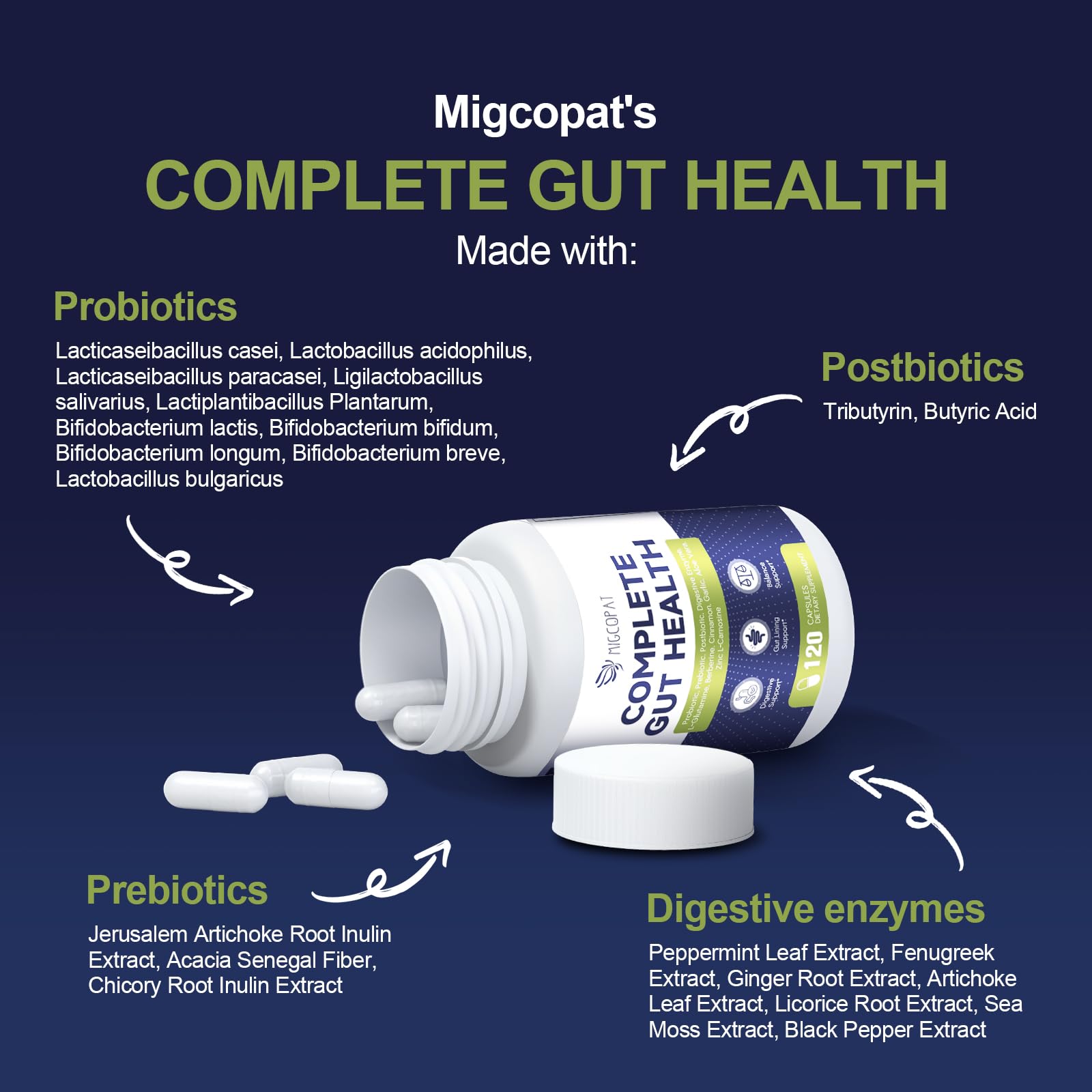 Migcopat Probiotic Prebiotic, Postbiotic & Digestive Enzymes for Digestive Health, 80 Billion CFU Probiotics Complete Gut Support with Berberine, Cinnamon, L-Glutamine - Maple Wellness Supplements