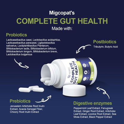 Migcopat Probiotics for Digestive Health, 80 Billion CFU Probiotics, Prebiotics, Postbiotics & Digestive Enzymes, Gut Health Capsules with Berberine, Cinnamon, - Maple Wellness Supplements