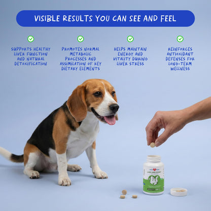 Milk Thistle for Dogs - 120 Chewable Tablets - Silymarin - Liver and Kidney Support with EPA & DHA - Detox - Liver Supplement for Dogs - Maple Wellness Supplements