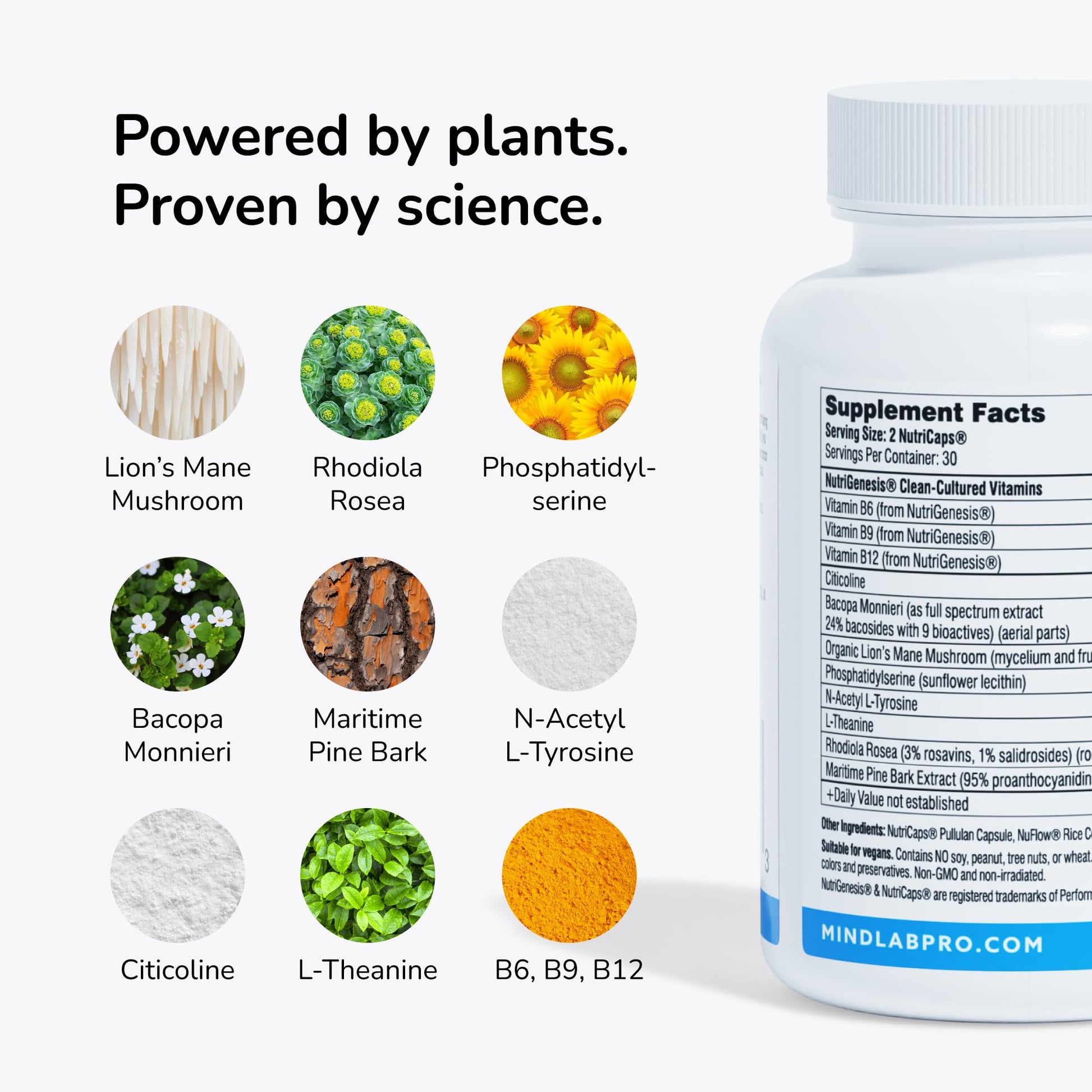 Mind Lab Pro® MLP® v4 Universal Booster Supplement for Focus, Memory, Clarity, Energy - 60-Count - Plant-Based, Naturally Sourced Memory Vitamins - Maple Wellness Supplements