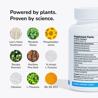 Mind Lab Pro® MLP® v4 Universal Booster Supplement for Focus, Memory, Clarity, Energy - 60-Count - Plant-Based, Naturally Sourced Memory Vitamins - Maple Wellness Supplements
