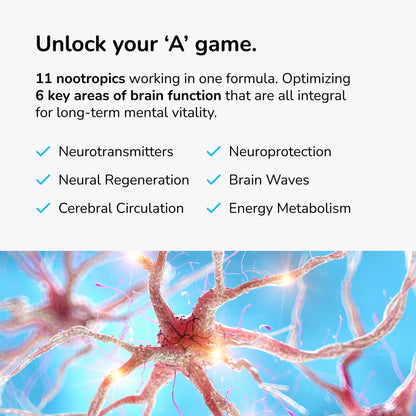 Mind Lab Pro® MLP® v4 Universal Booster Supplement for Focus, Memory, Clarity, Energy - 60-Count - Plant-Based, Naturally Sourced Memory Vitamins - Maple Wellness Supplements