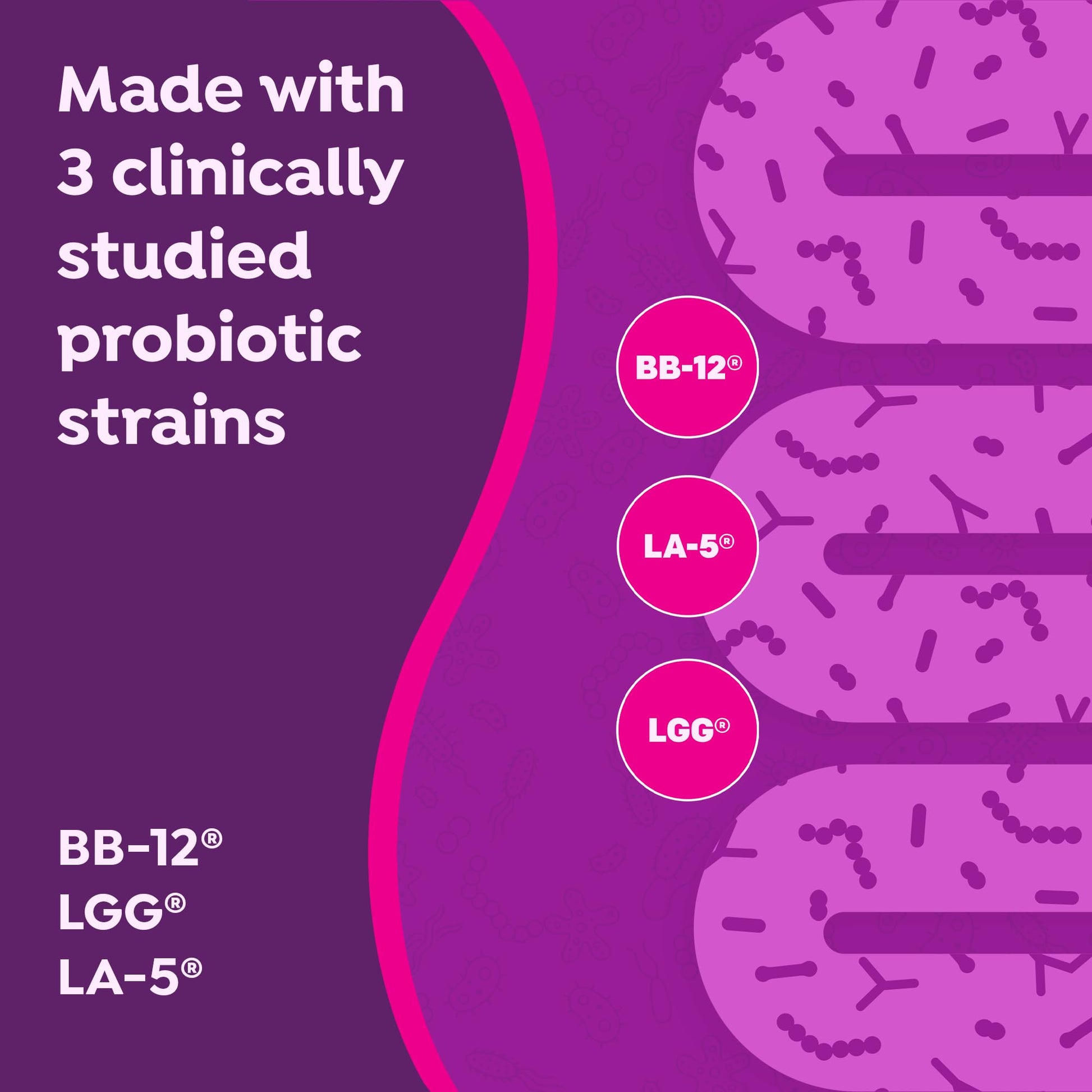 MiraGUT Daily Probiotic, from the Makers of MiraLAX, Probiotics for Digestive Health, Gluten-Free Supplement, Probiotic for Women and Men - Maple Wellness Supplements