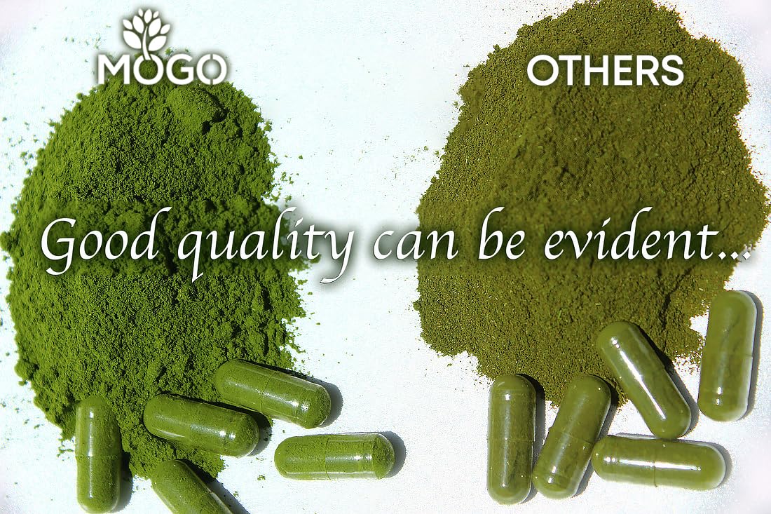 MOGO Moringa Capsules -180 Ct| Boost Energy, Immune, Gut, Joint Support | Made with Pure Organic Moringa Powder Organic Capsules | Made in USA - Maple Wellness Supplements