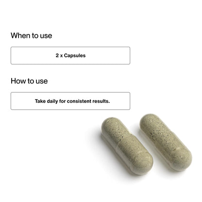 Momentous Brain Drive Nootropic Supplement - Brain Supplement for Memory & Focus Support - NSF Certified for Sport - GMO- & Gluten-Free - 30 Servings - Maple Wellness Supplements