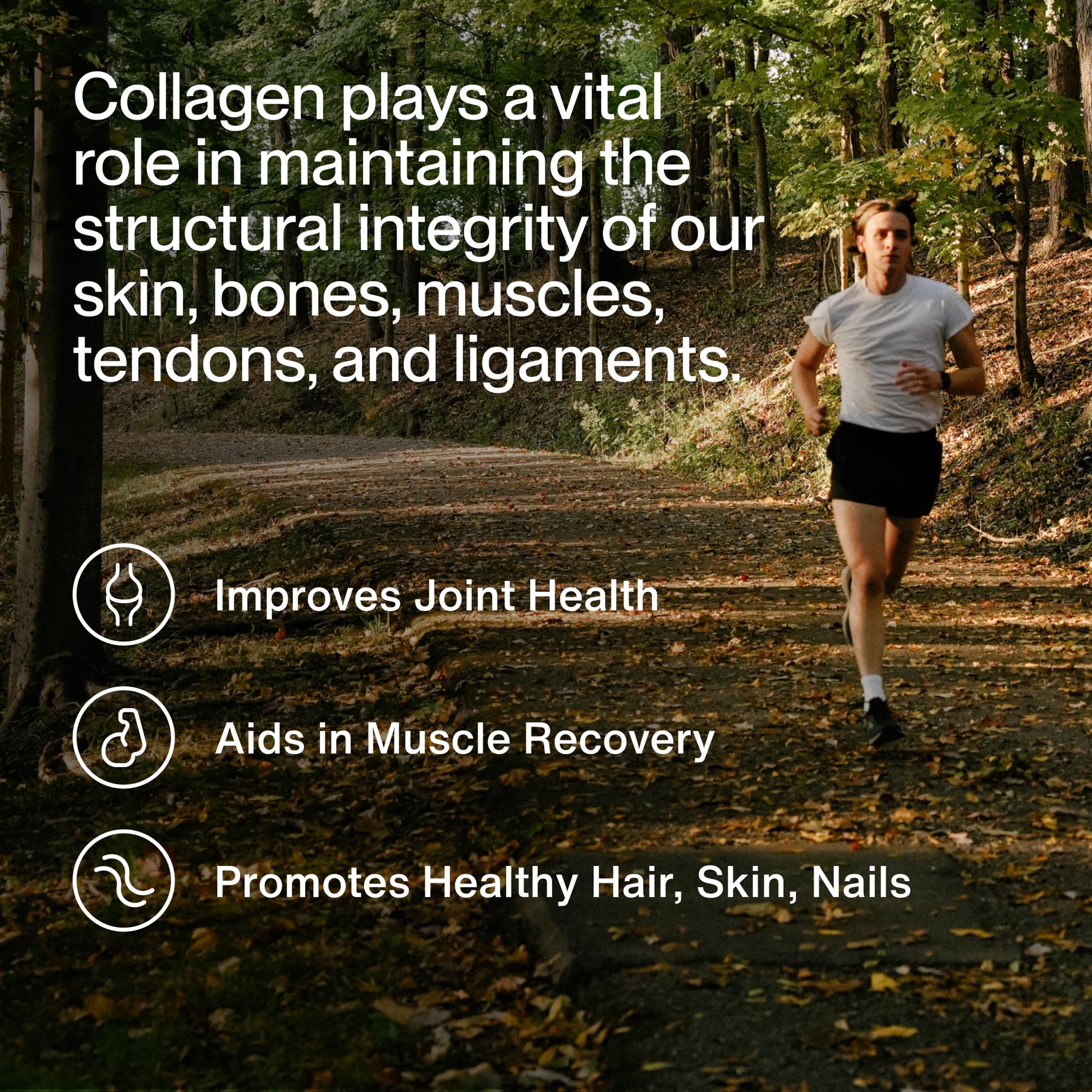 Momentous Grass-Fed Collagen Peptides Powder - Collagen Protein Powder with Fortigel & Vitamin C for Hair, Skin, Nails, & Joint Health Support - NSF Certified for Sport - Packaging May Vary - Maple Wellness Supplements