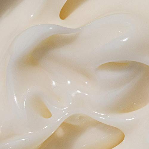 Moon Juice Cosmic Cream Vegan Collagen Protecting Moisturizer - Adaptogenic Dewy Face Lotion with Ashwagandha, Emollient Fatty Acids & Mushroom - Clean, Cruelty-Free & Sustainably-Sourced (1.7oz) - Maple Wellness Supplements