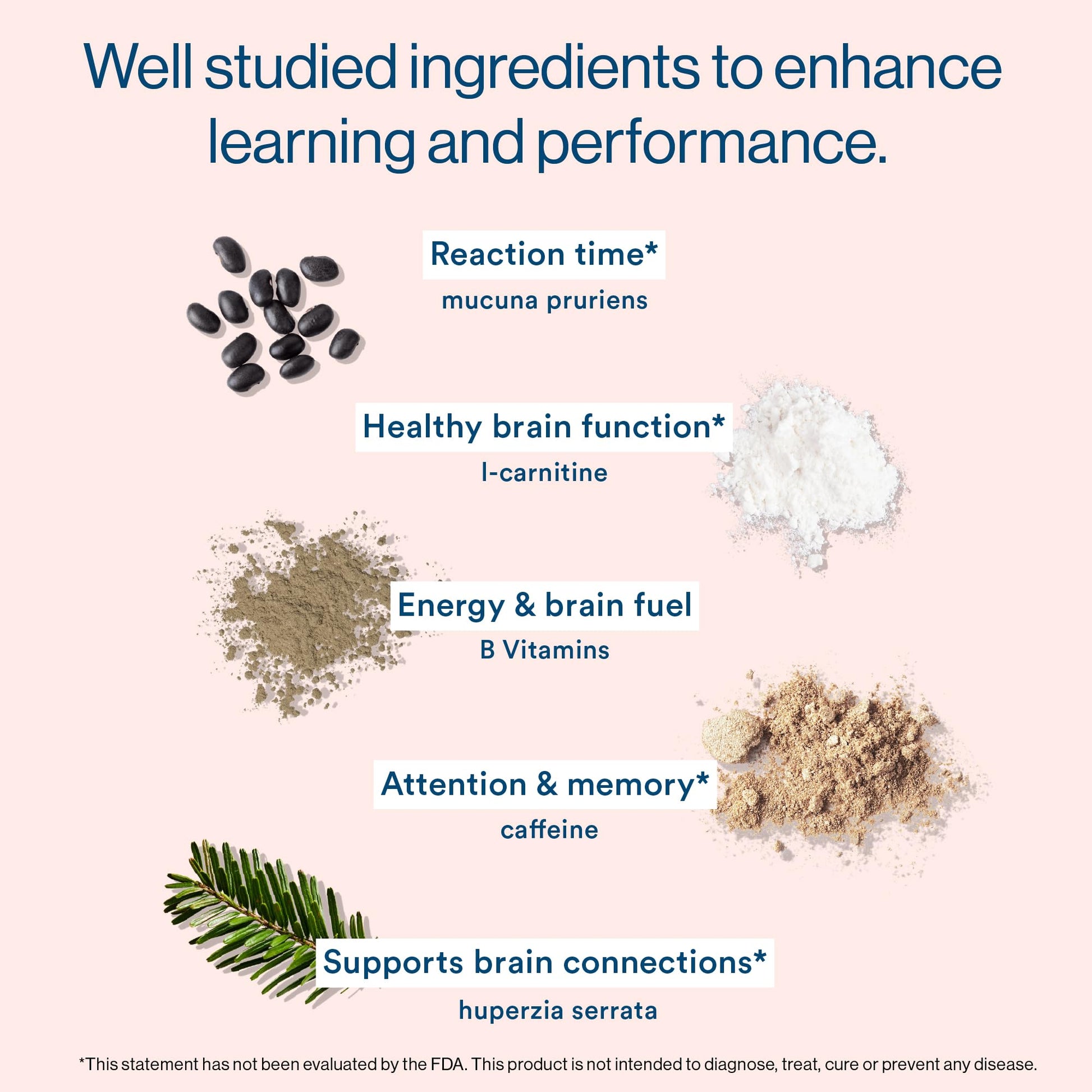 More Labs Liquid Focus, Nootropic Smart Drink with Powerful Antioxidants & Adaptogenic Herbs for Energy and Concentration, 150mg Caffeine (Pack of 12) - Maple Wellness Supplements