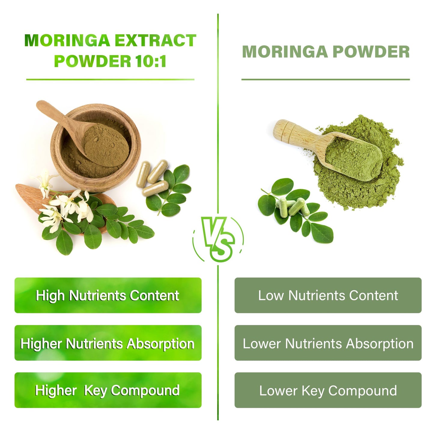 Moringa Capsules| Moringa Oleifera |10,000mg| 150 Capsules| 100% Pure| Non-GMO - Maple Wellness Supplements