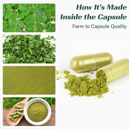 Moringa Capsules, Moringa Pure Capsules For Energy, Immune Support, Gut Health & Powerful Green Superfood, Rich In Antioxidants, Essential Vitamins & Amino Acids - Maple Wellness Supplements