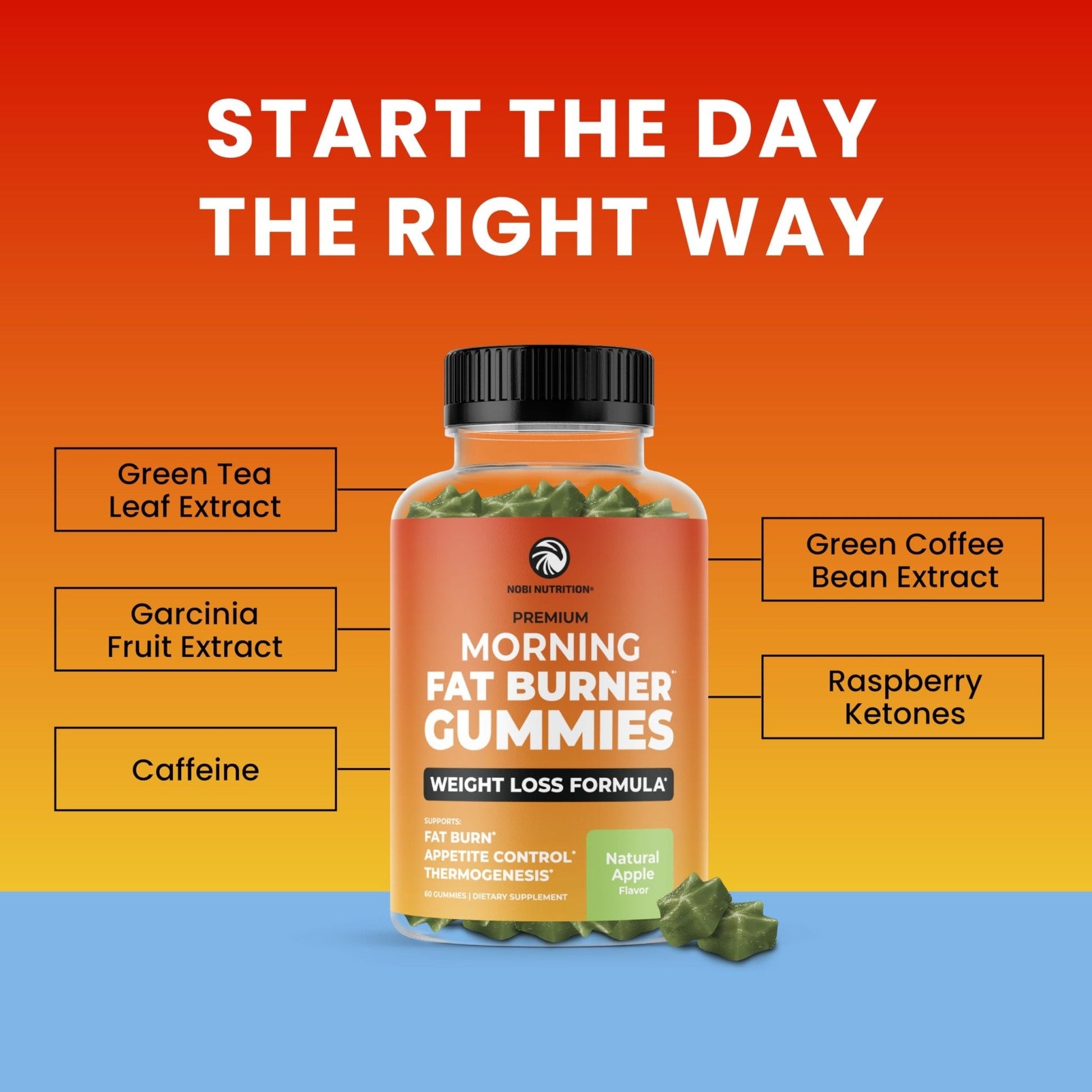 Morning Fat Burner Gummies for Weight Loss for Women & Men | Thermogenic Belly - Maple Wellness Supplements