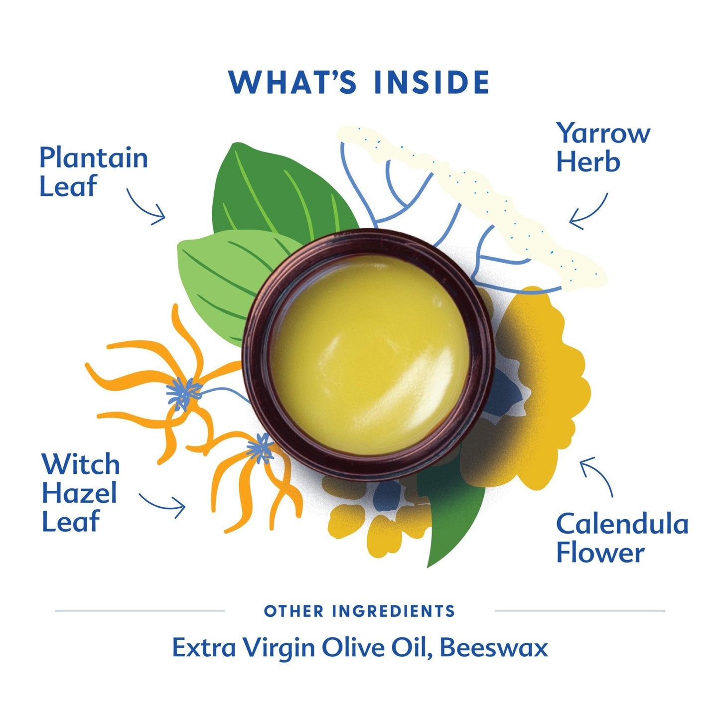 Motherlove Mom's Bottom Balm (1 oz) Organic Herbal Salve w/Witch Hazel for Bottoms During Pregnancy & Postpartum —Non-GMO Ointment - Maple Wellness Supplements