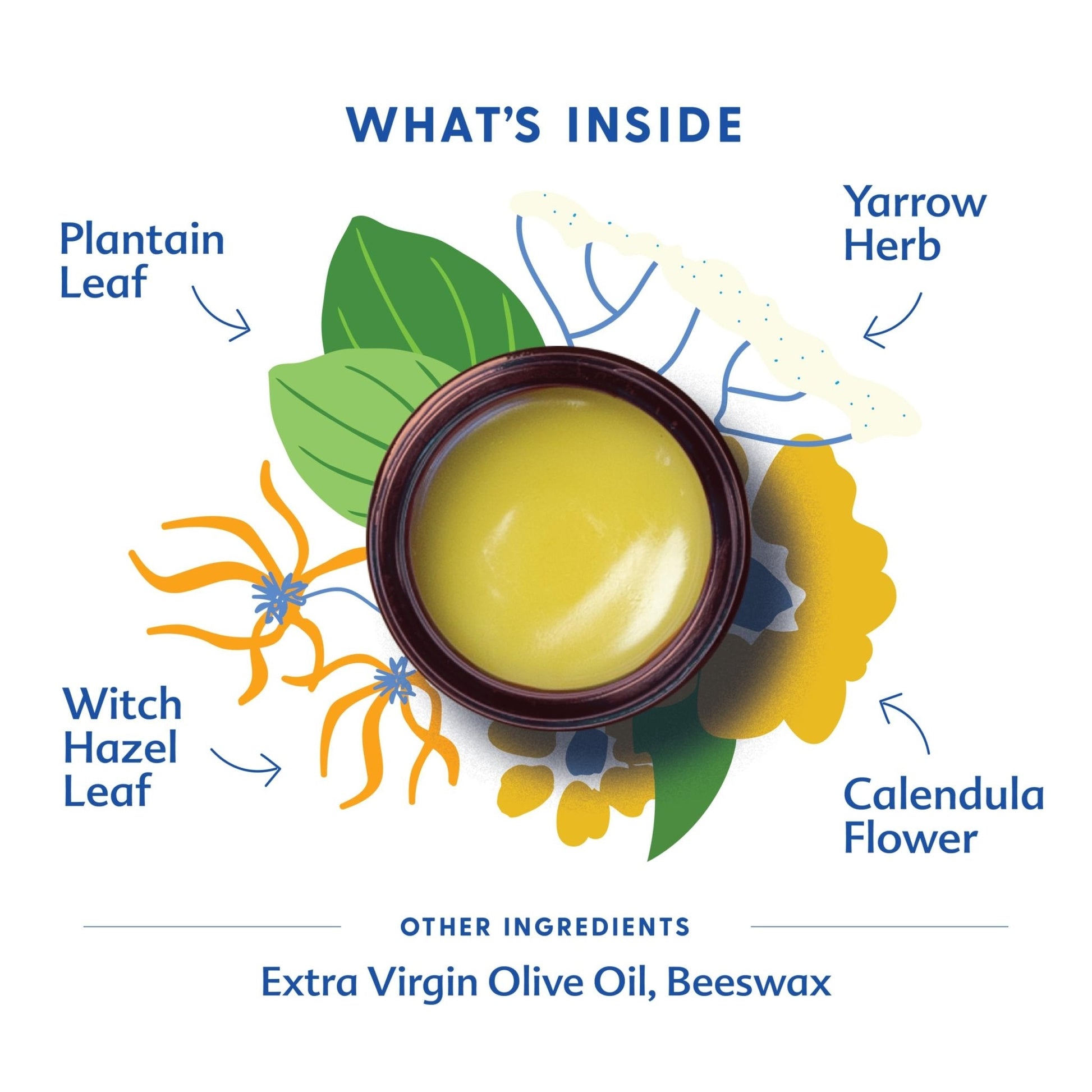 Motherlove Mom's Bottom Balm (1 oz) Organic Herbal Salve w/Witch Hazel for Bottoms During Pregnancy & Postpartum —Non-GMO Ointment - Maple Wellness Supplements