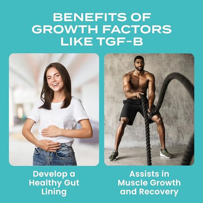 Moty Bovine Colostrum Grass Fed Powder Supplement for Gut Health, Muscle Recovery - Maple Wellness Supplements