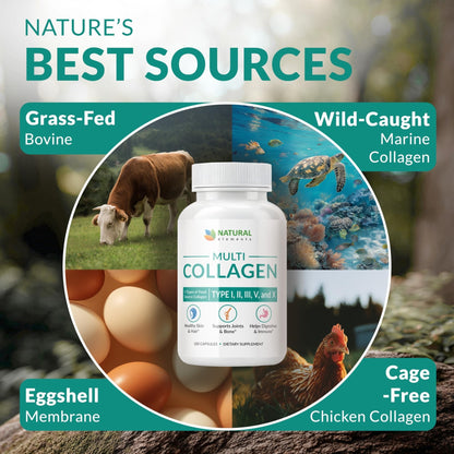 Multi Collagen 180 Protein Capsules - Type I, II, III, V, X Collagen Pills - Proprietary Blend of Eggshell, Chicken, Wild Fish & Grass-Fed - Maple Wellness Supplements