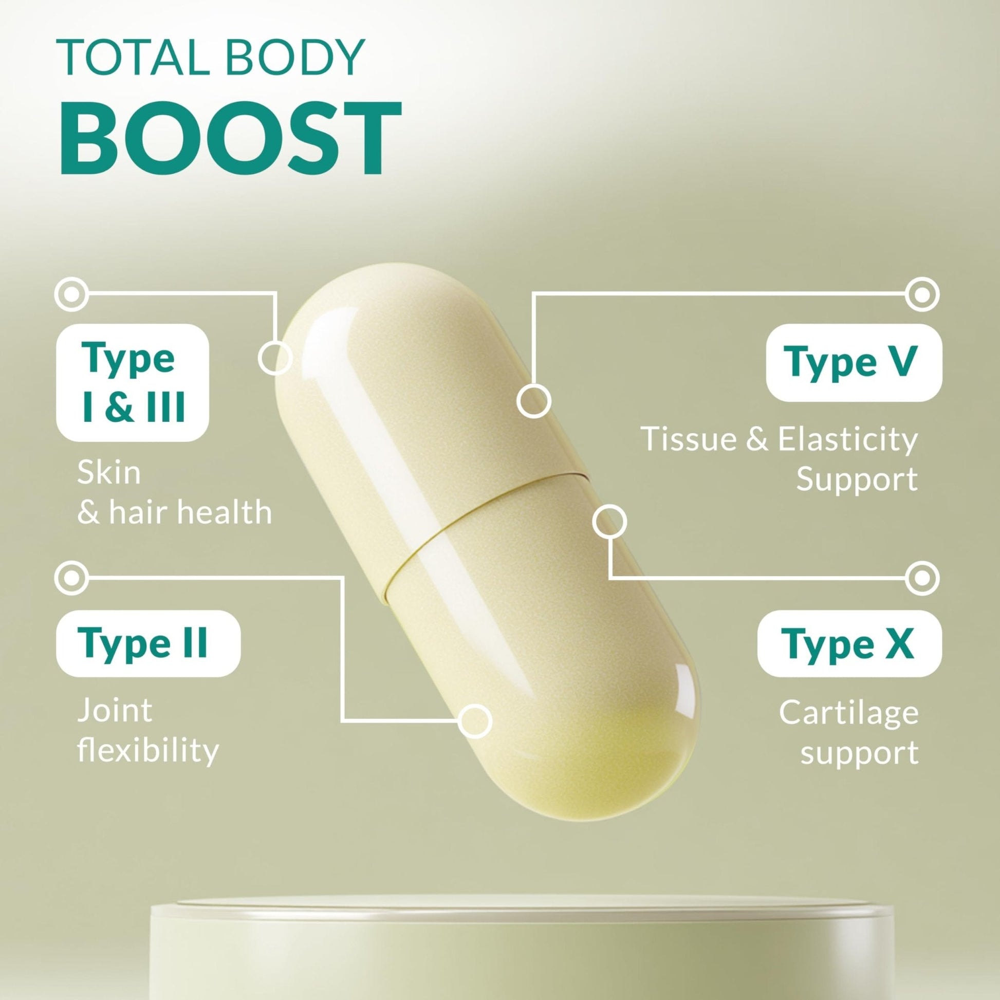 Multi Collagen 180 Protein Capsules - Type I, II, III, V, X Collagen Pills - Proprietary Blend of Eggshell, Chicken, Wild Fish & Grass-Fed - Maple Wellness Supplements