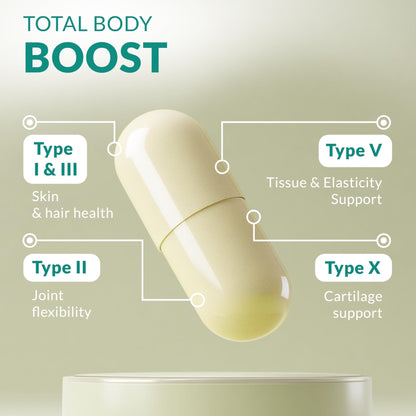 Multi Collagen 180 Protein Capsules - Type I, II, III, V, X Collagen Pills - Proprietary Blend of Eggshell, Chicken, Wild Fish & Grass-Fed - Maple Wellness Supplements