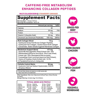 Multi Collagen Burn: Multi-Type Hydrolyzed Collagen Protein Peptides with Hyaluronic Acid - Maple Wellness Supplements