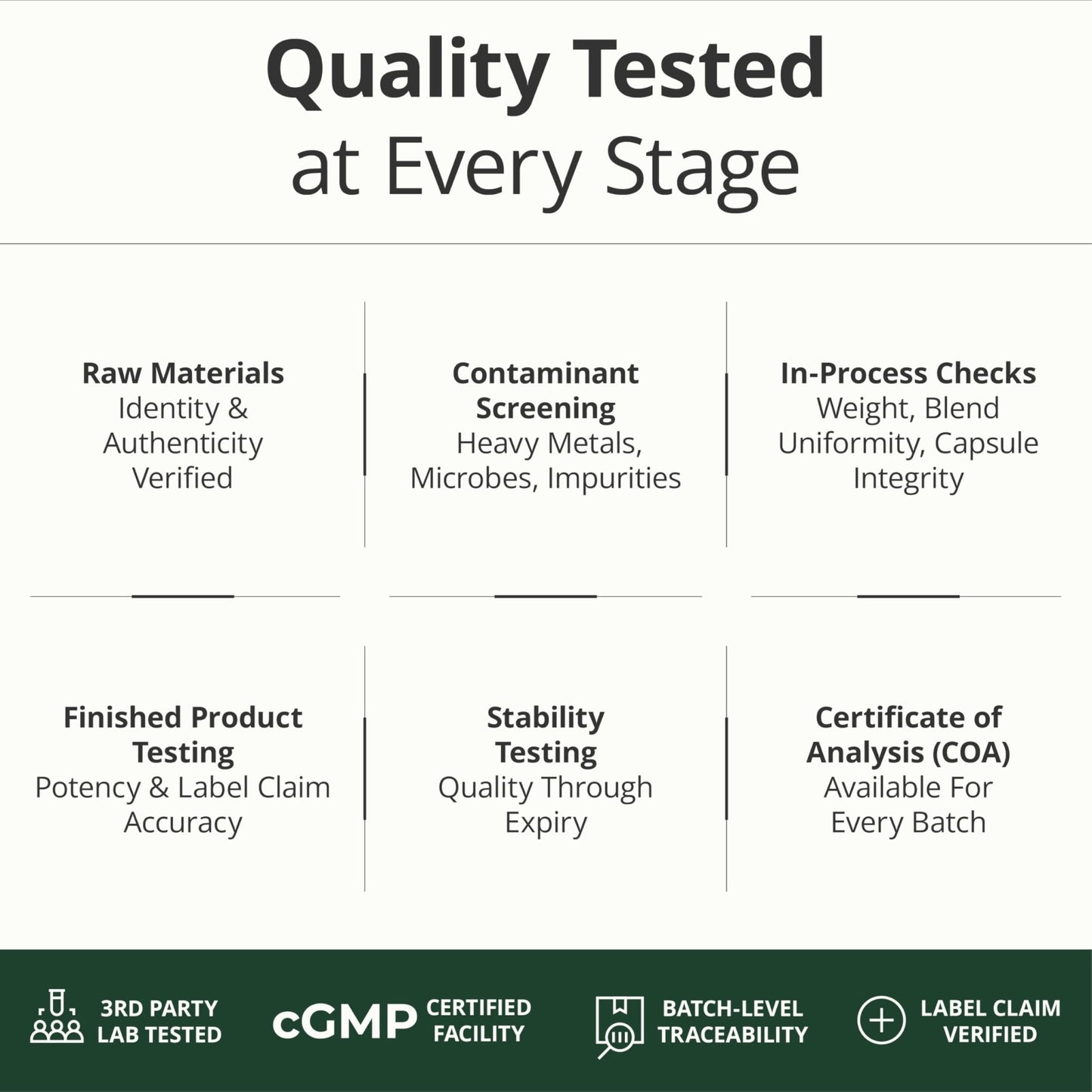 Multivitamin for Men with Methylated Vitamins and Chelated Minerals for Energy, Focus and Immune Health – Premium Daily Mens - Maple Wellness Supplements