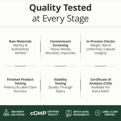 Multivitamin for Men with Methylated Vitamins and Chelated Minerals for Energy, Focus and Immune Health – Premium Daily Mens - Maple Wellness Supplements