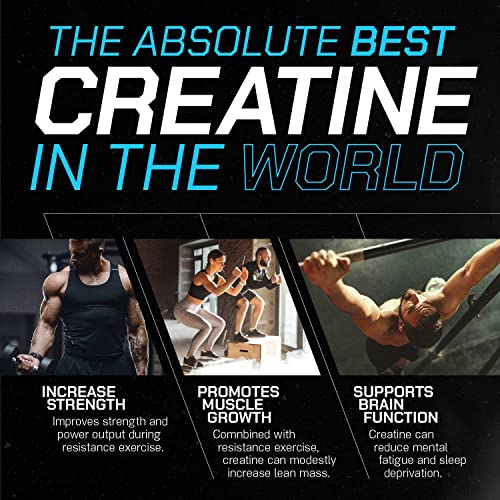 Muscle Feast Creapure Creatine Monohydrate Powder for Muscle Growth Nutritional - Maple Wellness Supplements
