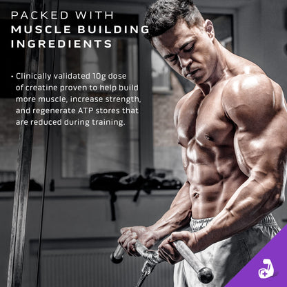 Muscletech Mass Gainer Mass-Tech Extreme 2000, Muscle Builder Whey Protein Powder - Maple Wellness Supplements