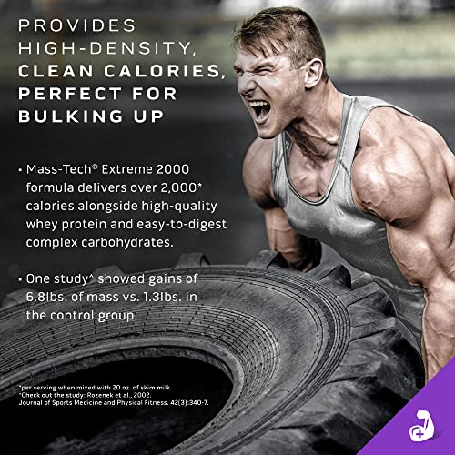 MuscleTech Mass Gainer Protein Powder, Mass-Tech Extreme 2000, Muscle Builder - Maple Wellness Supplements