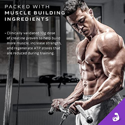 MuscleTech Mass Gainer Protein Powder, Mass-Tech Extreme 2000, Muscle Builder - Maple Wellness Supplements