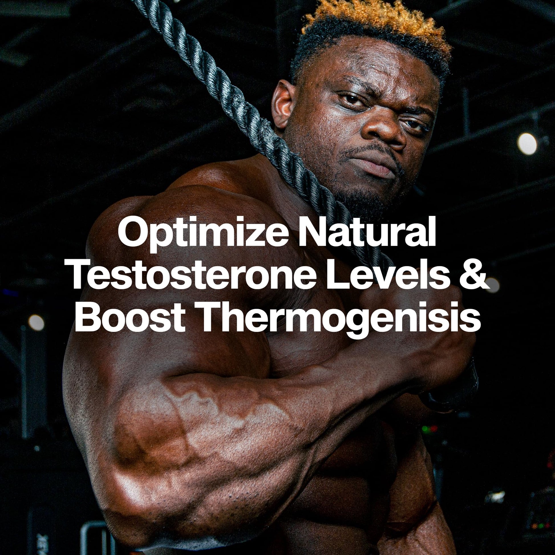 MuscleTech Thermogenic Booster for Men, AlphaTest Thermo - T-Boost Mens Supplement with Tribulus Terrestris - Male Gym Workout Supplements for Muscle Growth - Maple Wellness Supplements