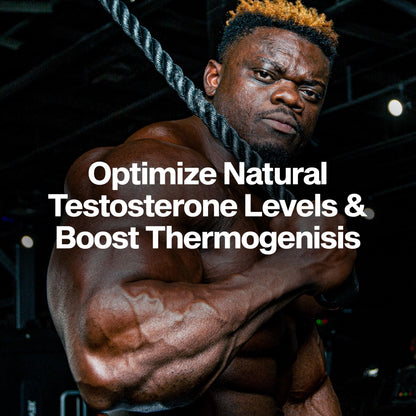 MuscleTech Thermogenic Booster for Men, AlphaTest Thermo - T-Boost Mens Supplement with Tribulus Terrestris - Male Gym Workout Supplements for Muscle Growth - Maple Wellness Supplements