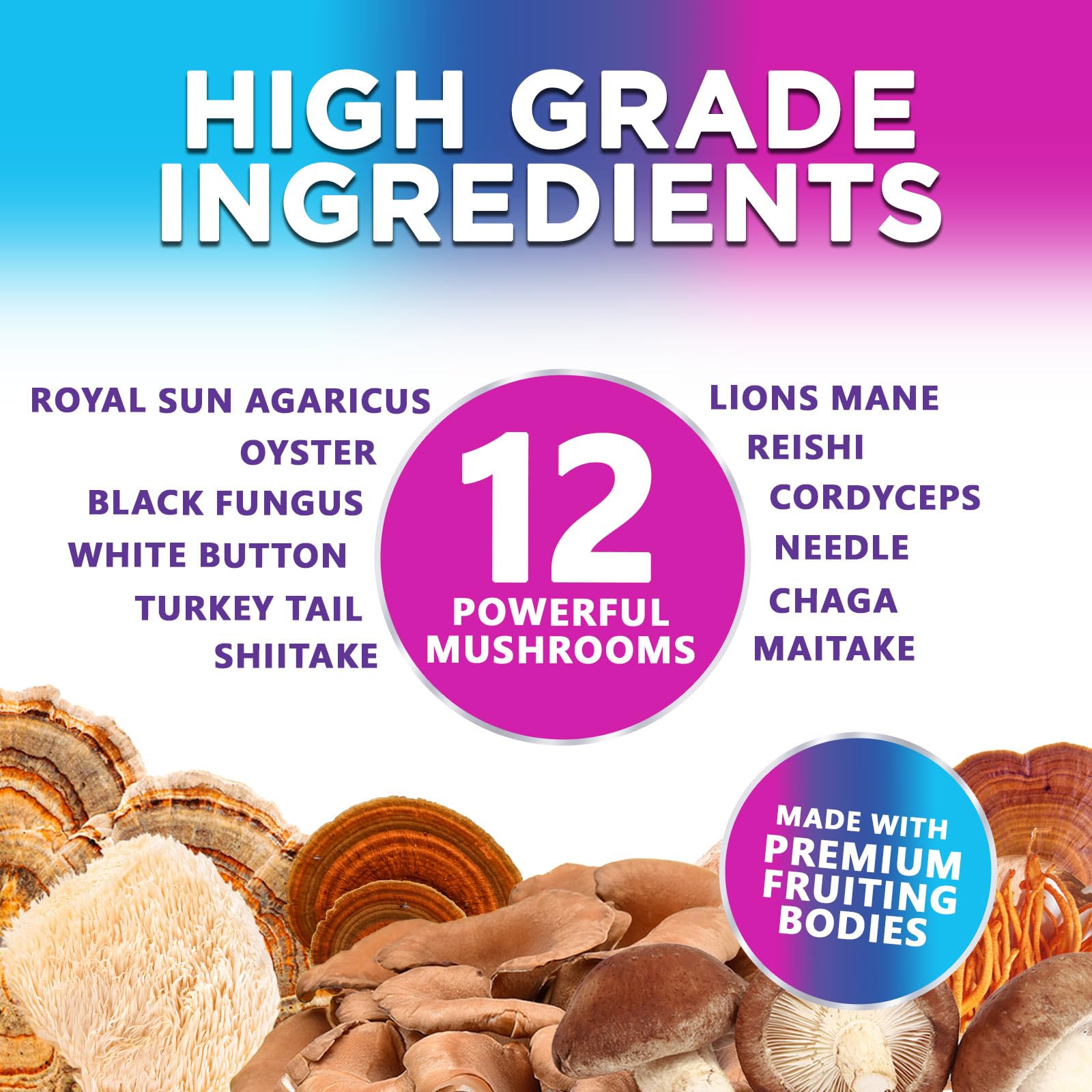Mushroom Gummies Supplement 12 in 1 - High Grade Blend for Adults with Lions Mane, Reishi, Cordyceps, & Chaga Mushroom Complex Gummy, Memory & Immune Support & Nootropic Brain Supplements - 60 Gummies - Maple Wellness Supplements