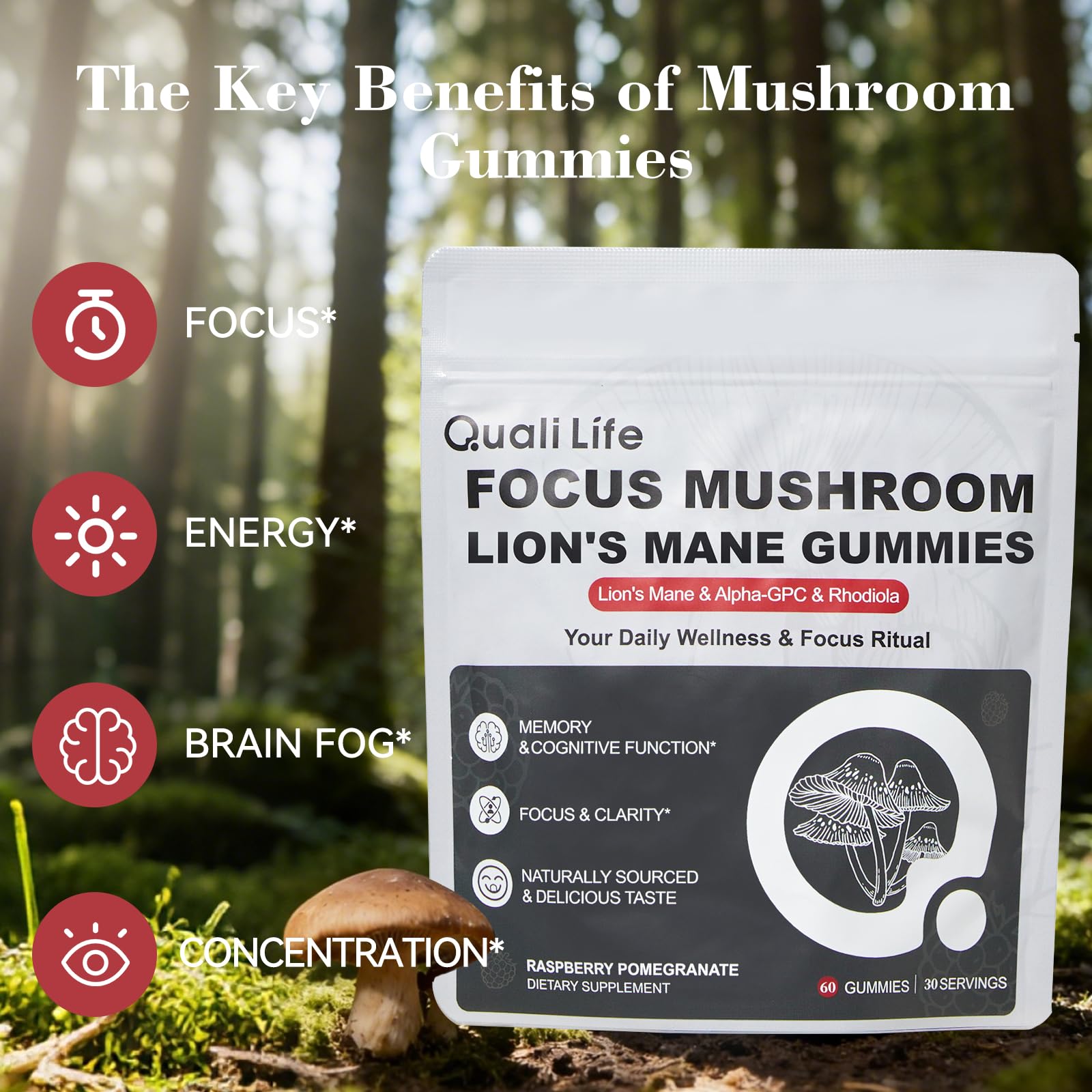 Mushroom Gummies with Lion’s Mane - Alpha Brain Gummy for Focus & Memory - Nootropic Focus Gummies with Rhodiola & Alpha-GPC – Vegan Brain Supplement, Raspberry Pomegranate Flavor, 60 Count (1) - Maple Wellness Supplements