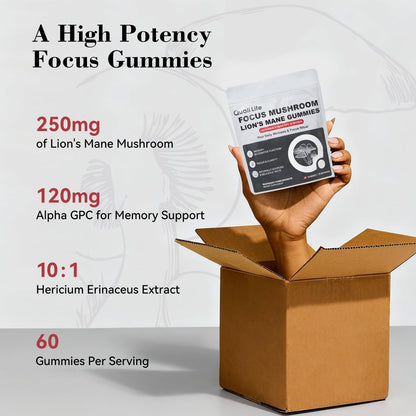 Mushroom Gummies with Lion’s Mane - Alpha Brain Gummy for Focus & Memory - Nootropic Focus Gummies with Rhodiola & Alpha-GPC – Vegan Brain Supplement, Raspberry Pomegranate Flavor, 60 Count (1) - Maple Wellness Supplements