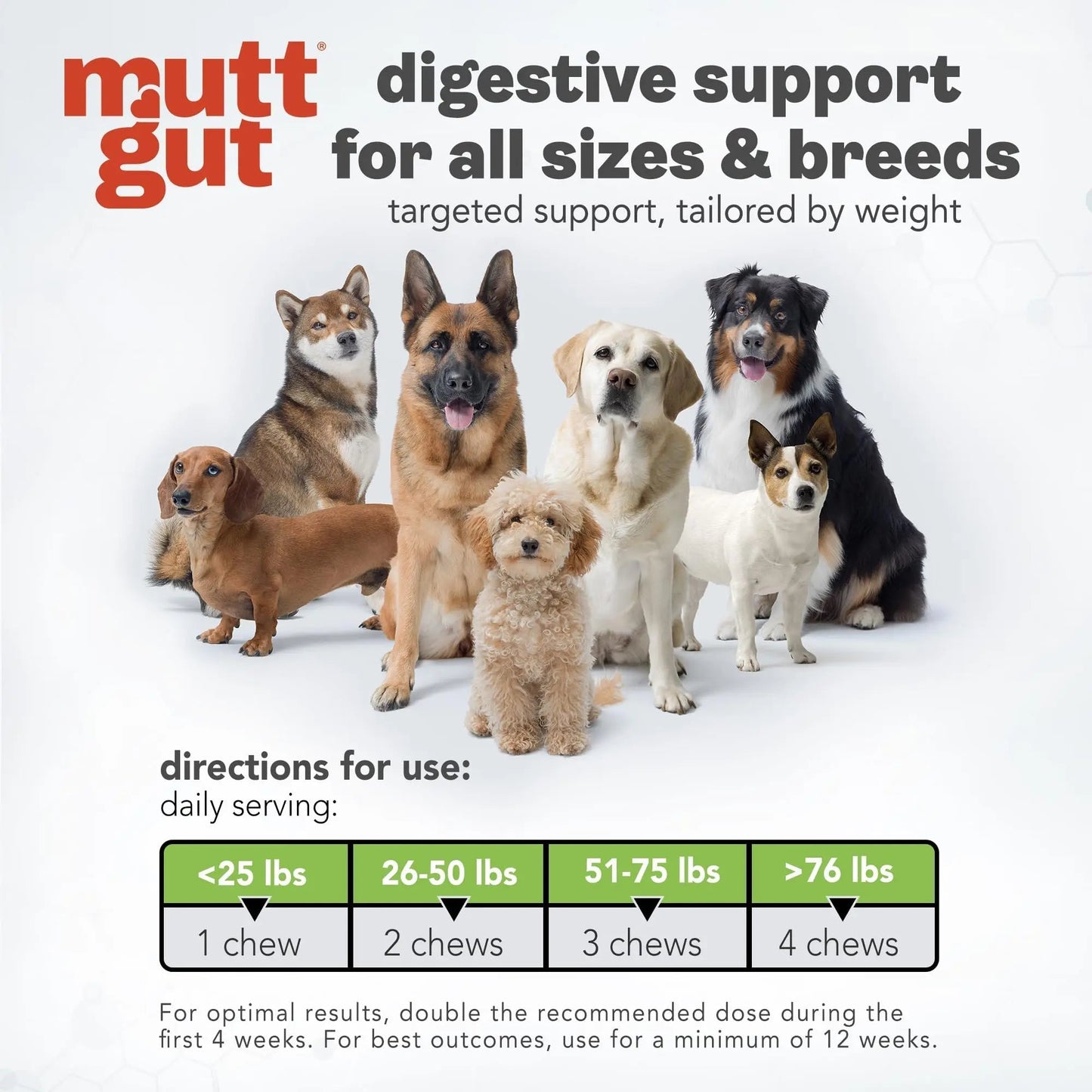 MuttGut® 3-in-1 Puppy & Dog Probiotics + Prebiotics + Postbiotics Chews - Promotes Digestive Health, Supports Immune System and Overall Health - Dog Diarrhea Relief & Immune Support - 60 Soft Chews - Maple Wellness Supplements