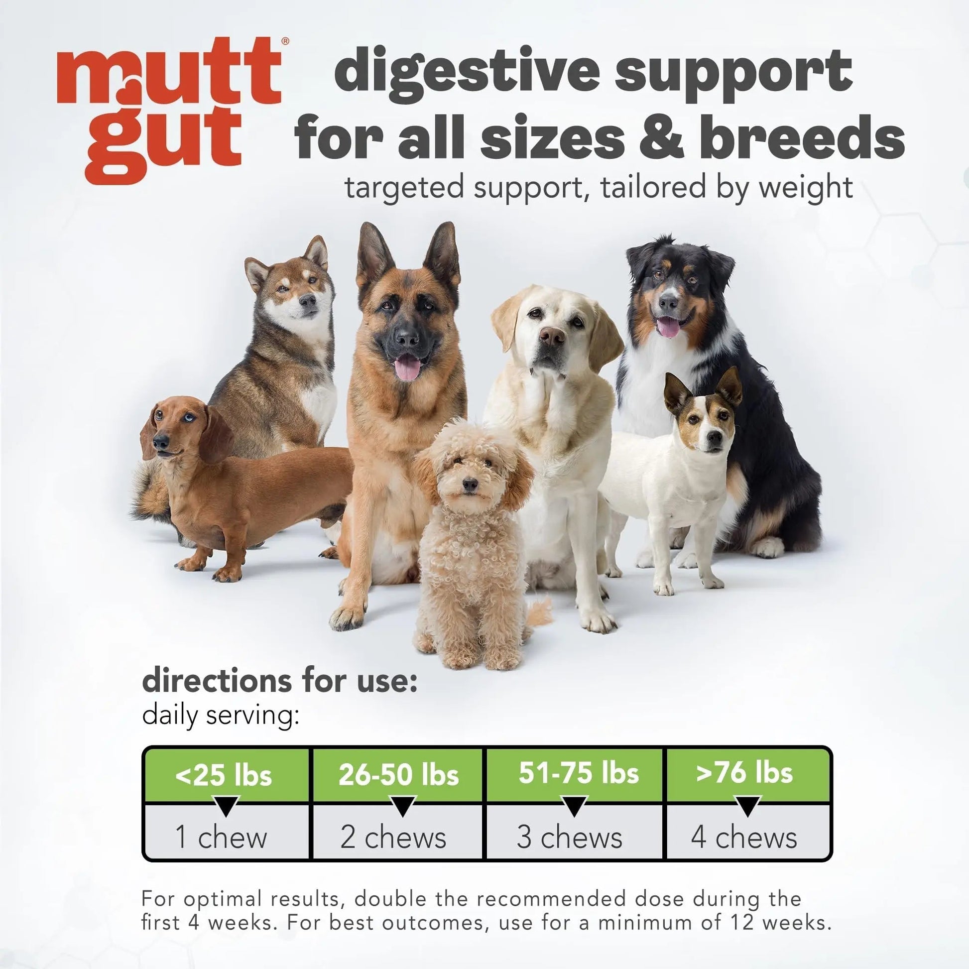 MuttGut® 3-in-1 Puppy & Dog Probiotics + Prebiotics + Postbiotics Chews - Promotes Digestive Health, Supports Immune System and Overall Health - Dog Diarrhea Relief & Immune Support - 60 Soft Chews - Maple Wellness Supplements