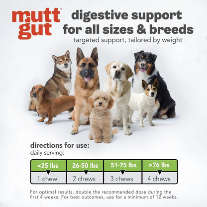 MuttGut® 3-in-1 Puppy & Dog Probiotics + Prebiotics + Postbiotics Chews - Promotes Digestive Health, Supports Immune System and Overall Health - Dog Diarrhea Relief & Immune Support - 60 Soft Chews - Maple Wellness Supplements
