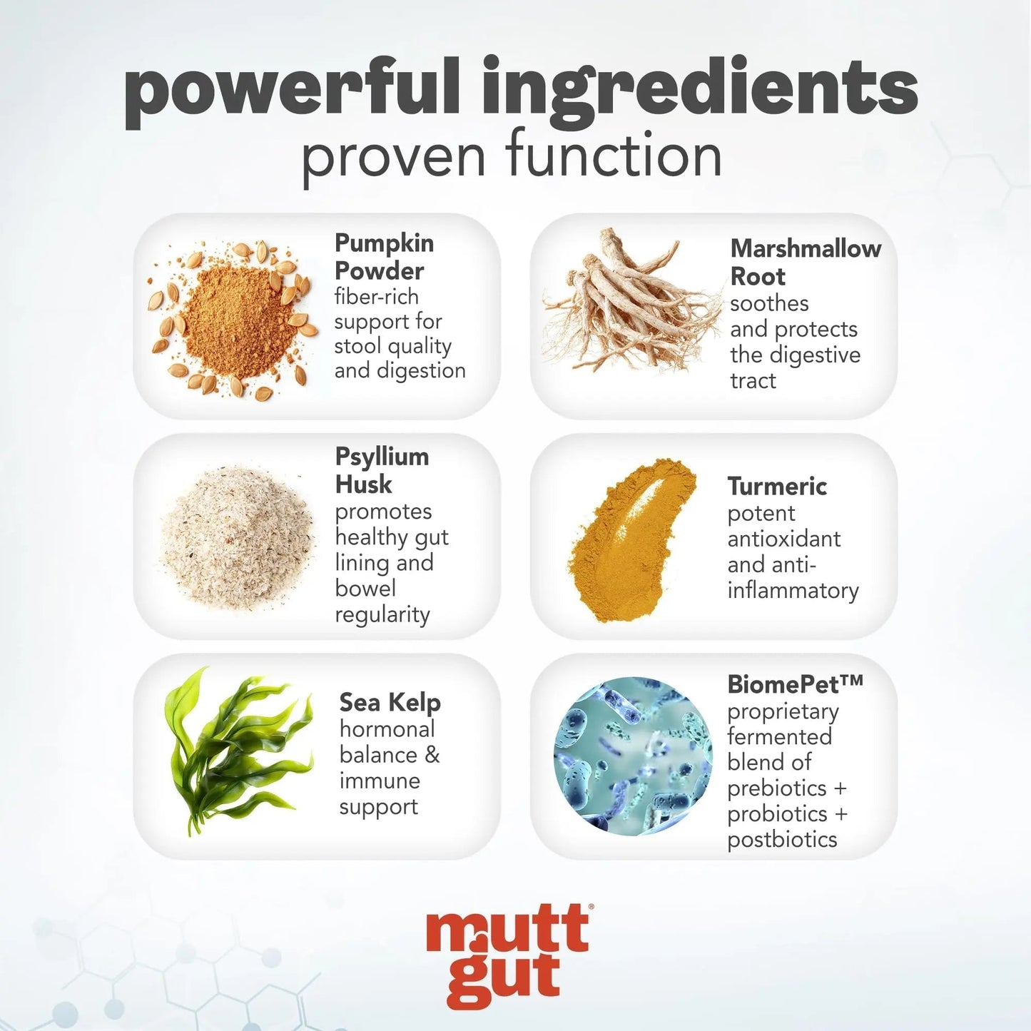 MuttGut® 3-in-1 Puppy & Dog Probiotics + Prebiotics + Postbiotics Chews - Promotes Digestive Health, Supports Immune System and Overall Health - Dog Diarrhea Relief & Immune Support - 60 Soft Chews - Maple Wellness Supplements