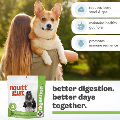 MuttGut® 3-in-1 Puppy & Dog Probiotics + Prebiotics + Postbiotics Chews - Promotes Digestive Health, Supports Immune System and Overall Health - Dog Diarrhea Relief & Immune Support - 60 Soft Chews - Maple Wellness Supplements