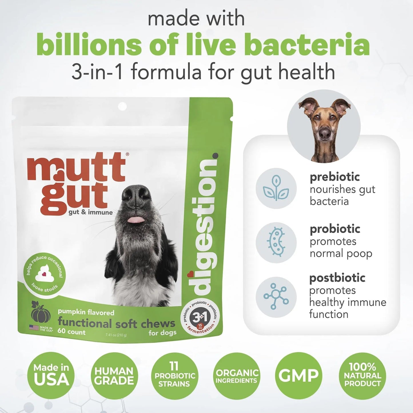 MuttGut® 3-in-1 Puppy & Dog Probiotics + Prebiotics + Postbiotics Chews - Promotes Digestive Health, Supports Immune System and Overall Health - Dog Diarrhea Relief & Immune Support - 60 Soft Chews - Maple Wellness Supplements