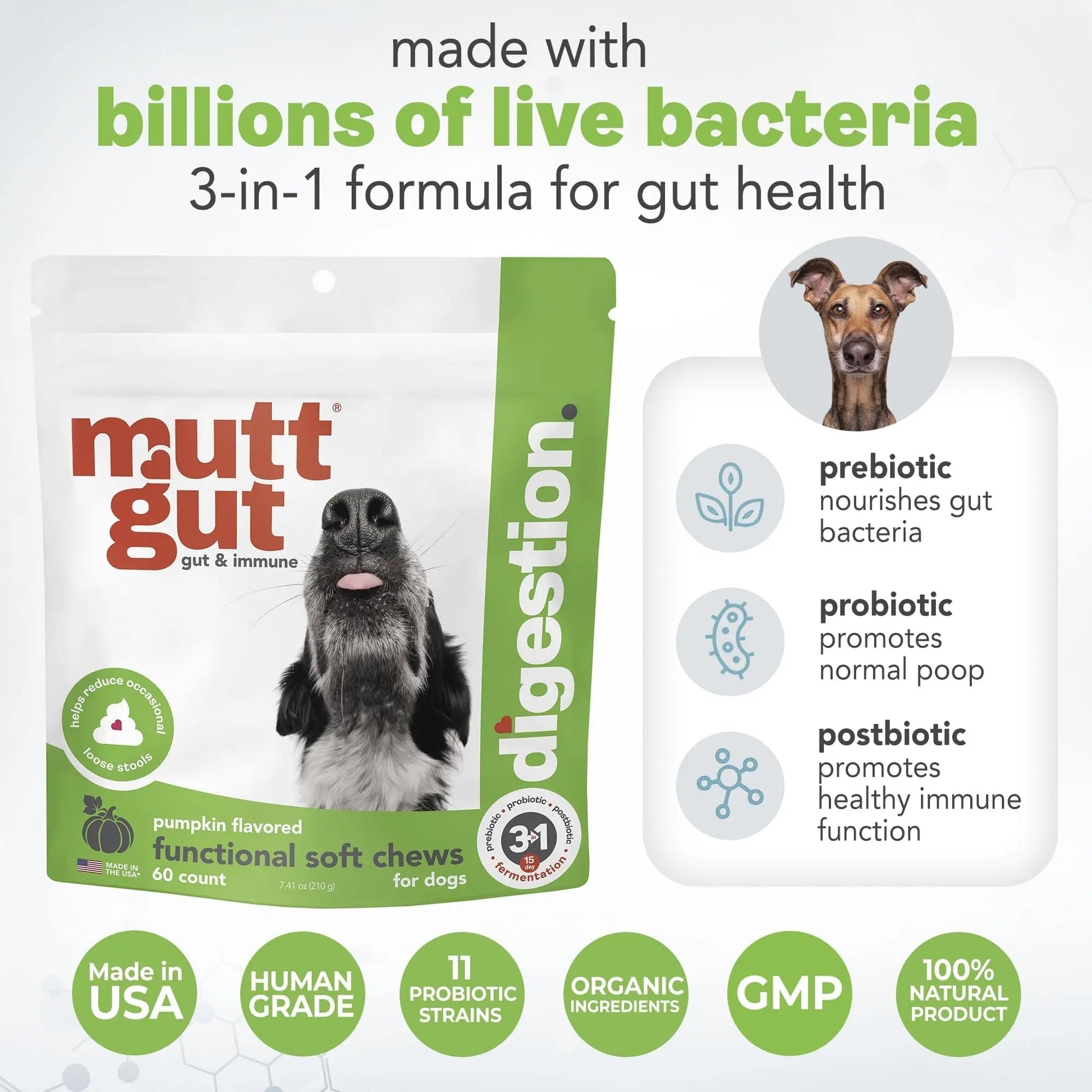 MuttGut® 3-in-1 Puppy & Dog Probiotics + Prebiotics + Postbiotics Chews - Promotes Digestive Health, Supports Immune System and Overall Health - Dog Diarrhea Relief & Immune Support - 60 Soft Chews - Maple Wellness Supplements