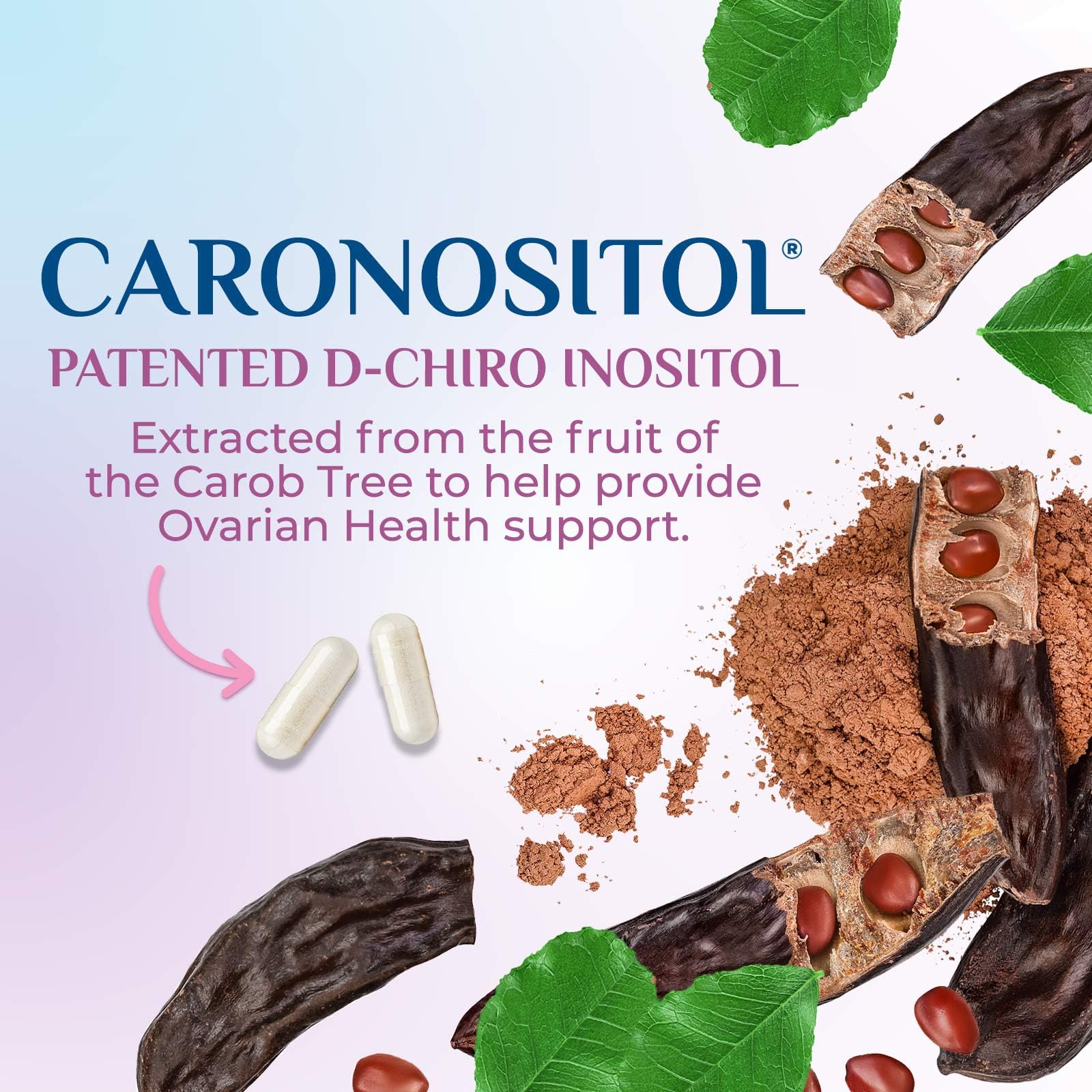 Myo-Inositol & D-Chiro Inositol 1025mg - 40:1 Ideal Ratio for Ovarian Support, Vegan Myo & D Chiro Supplement for Women's Natural Balance and Hormone Support, Vitamin B8, Non-GMO - 120 Capsules - Maple Wellness Supplements