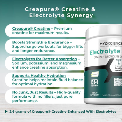 MYOXCIENCE Electrolyte STIX | Creatine Electrolyte Powder | Recovery from Exercise & Muscle Development w/Real Salt (Unflavored) (Jar 45 ct) - Maple Wellness Supplements