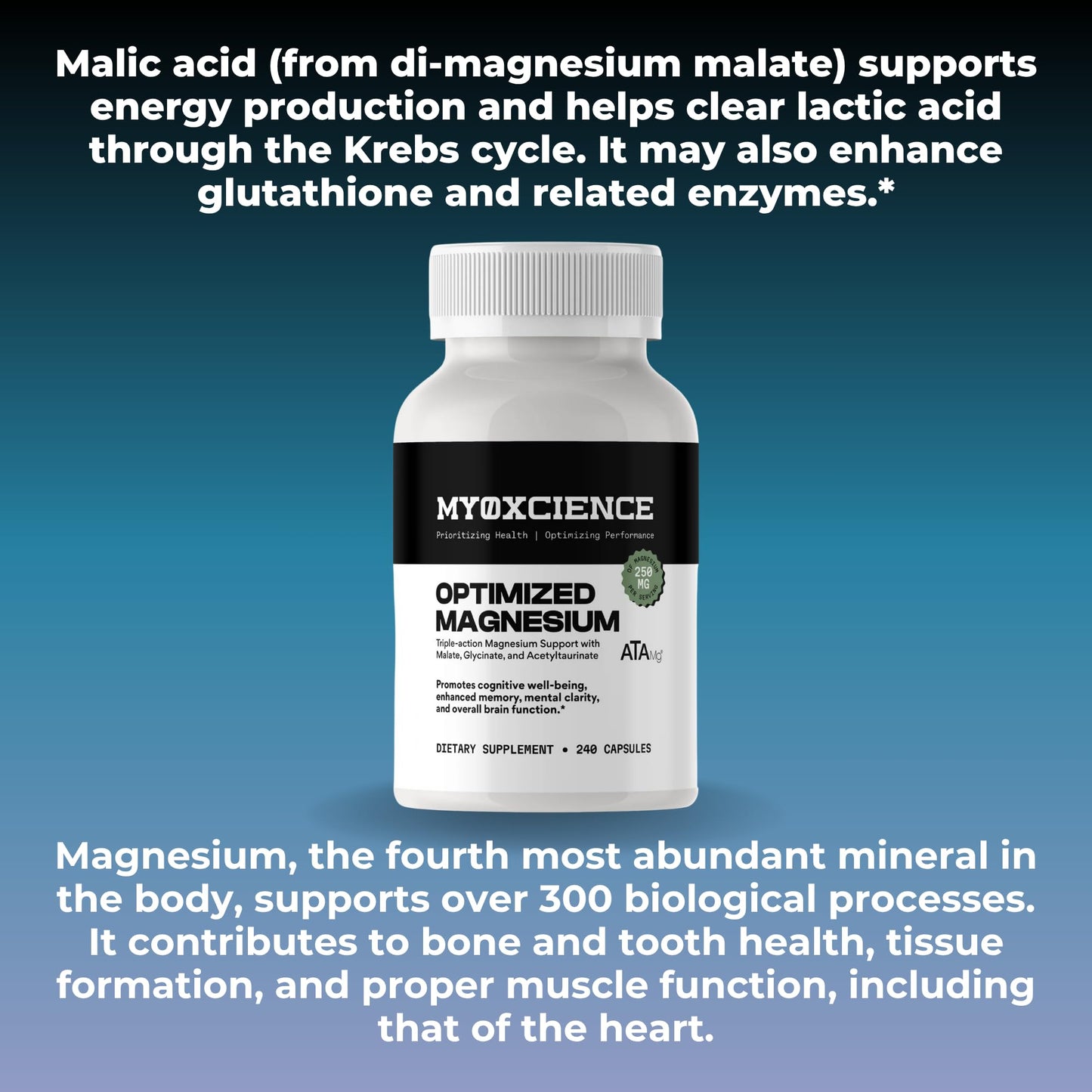 MYOXCIENCE Optimized Magnesium Glycinate + Magnesium Taurate (as ATAmag®) for High Brain Bioavailability to Support Stress Relief and Sleep | 80 Servings - Maple Wellness Supplements