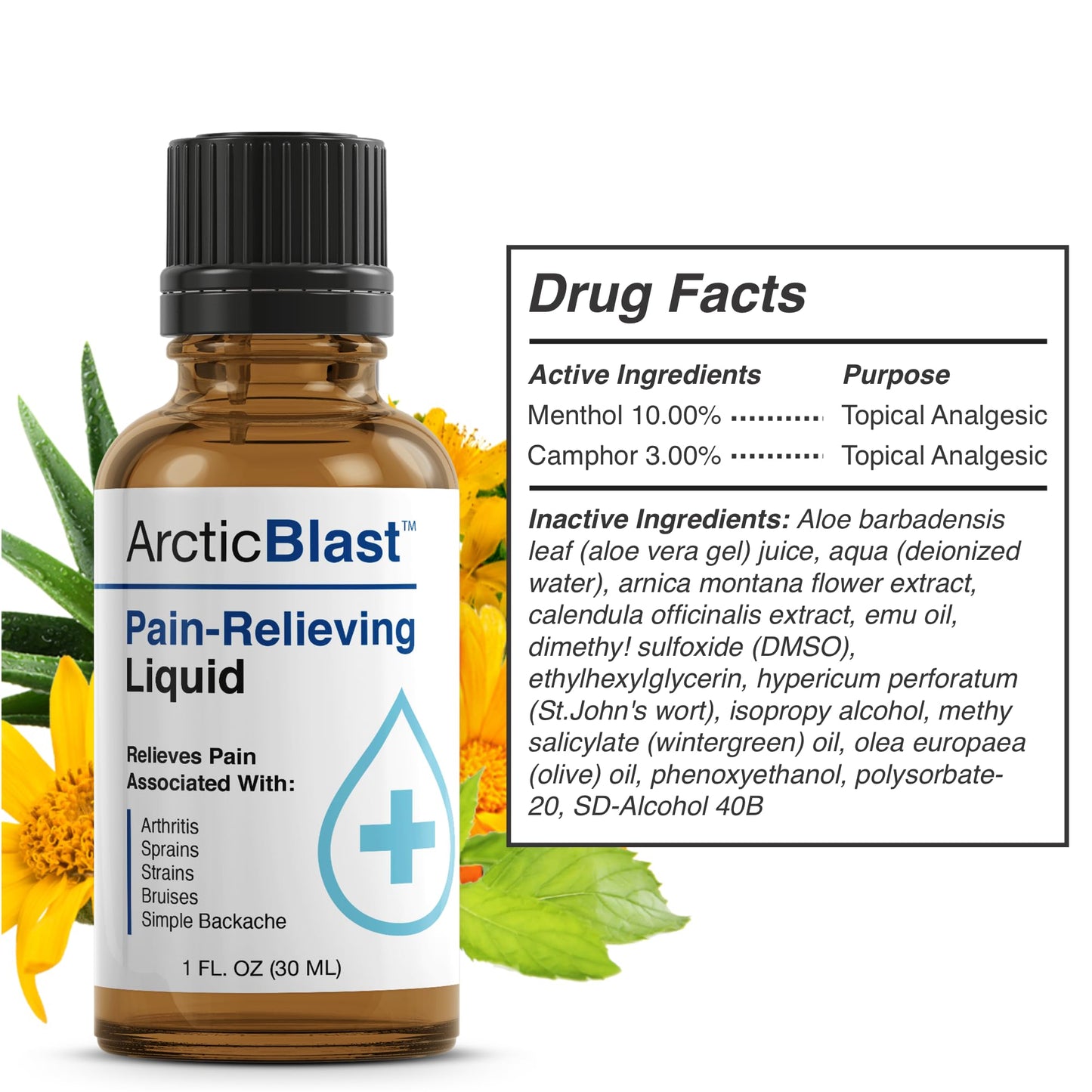 N Labs Arctic Blast Premium Topical Pain Relief Drops – Fast Absorbing DMSO, Menthol & Camphor for Back, Knee, Shoulder, Joint & Muscle Pain – Cooling Rub Formula – Made in USA – 1 fl oz - Maple Wellness Supplements