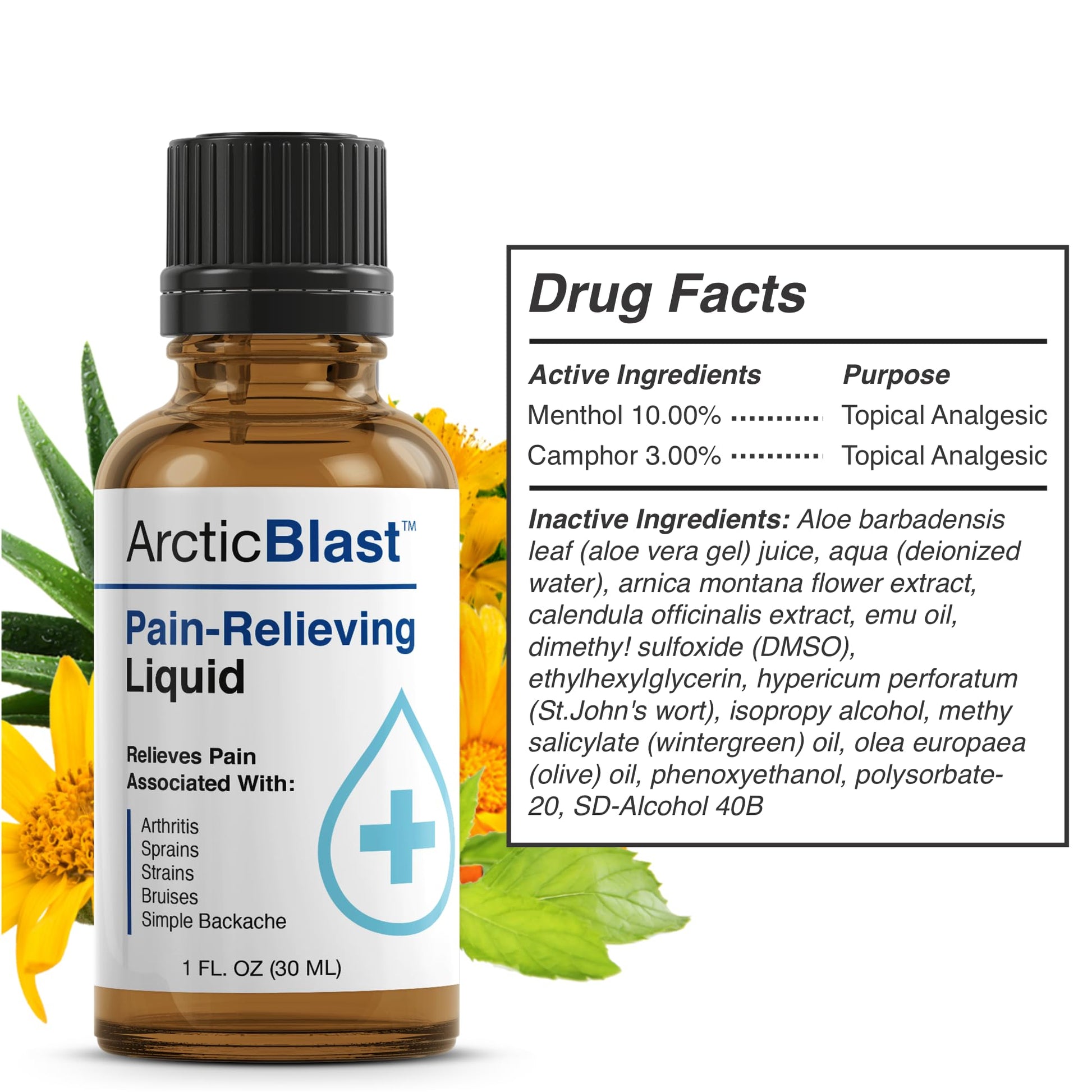 N Labs Arctic Blast Premium Topical Pain Relief Drops – Fast Absorbing DMSO, Menthol & Camphor for Back, Knee, Shoulder, Joint & Muscle Pain – Cooling Rub Formula – Made in USA – 1 fl oz - Maple Wellness Supplements
