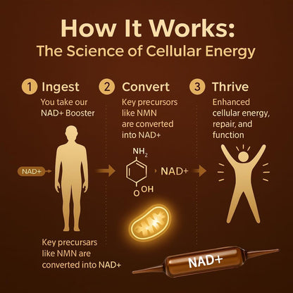 NAD+ Advanced Cellular Renewal Supplement 1200mg - Skin Anti-Aging & Energy Boost Support - 10 Vials - Maple Wellness Supplements